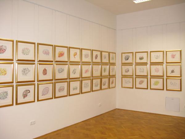 jk-gyor-2010-7.jpg