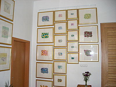 images/jk_gyor_2.jpg